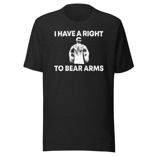 Right To Bear Arms